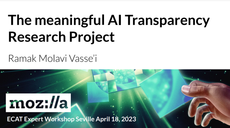 Lead AI Transparency Research Project